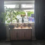 Gadsby Manor 홈스테이