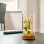 Cosy And Bright 3-bedroom Flat * גלאזגו