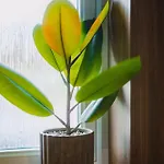 Jw Executive Aparthouse 2 Prázdninový dům *