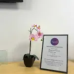 Signature - Morrison House *