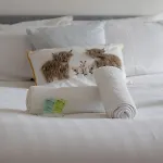 Pass The Keys Victoria Road Queens Park View דירה גלאזגו