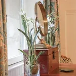 Prázdninový dům The Coach House - Holmwood