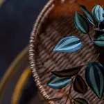 Family And Group 2br By Park Sleeps 7 Daire *