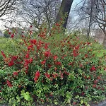 Heart Of West End Apartment, גלאזגו