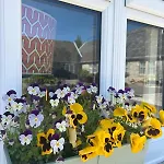 Beautiful 4 Bed Sandstone *