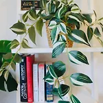 דירה Modern Ground Floor 2 Bed Secure Parking & Perfect For City- Celticemirates Stadium *