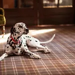 West By Compass Hospitality Glasgow