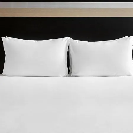 Hotel - - Ctr Theatreland By Ihg 4*