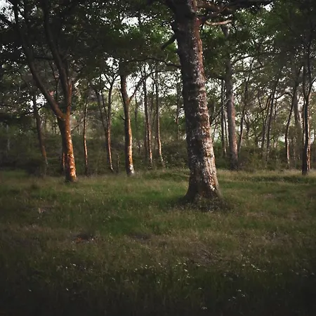 Lejlighed At Loch Lomond *