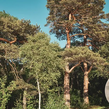 At Loch Lomond Glasgow