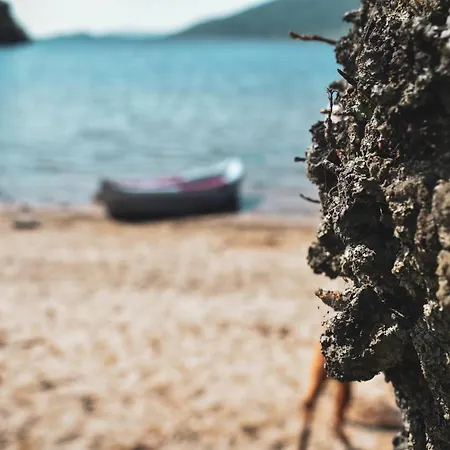 Lejlighed At Loch Lomond *