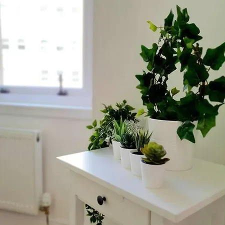 Cosy Flat, West End, Close To Sec, Hydro & Tourist Attractions * Glasgow
