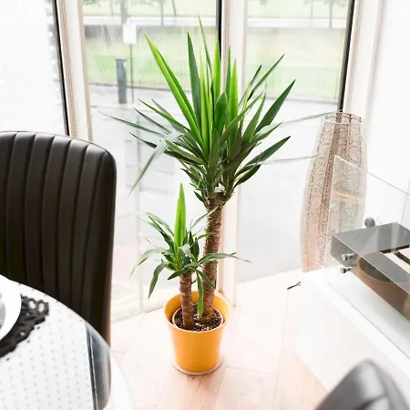 Pass The Keys Stylish 2bed Unit Apartment Glasgow