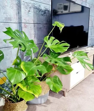 Stylish 2 Bedroom / Free Gated Parking Glasgow