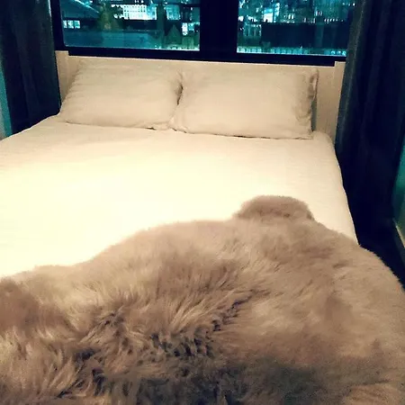 Apartment Centre G1 Penthouse With Riverviews - Duplex
