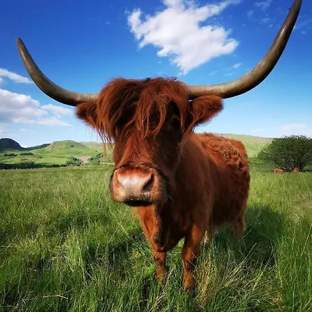 The West Highland Way And Retreat 5*