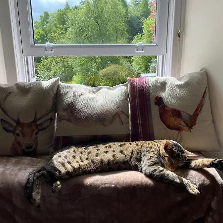 The West Highland Way Hotel And Retreat Accommodation