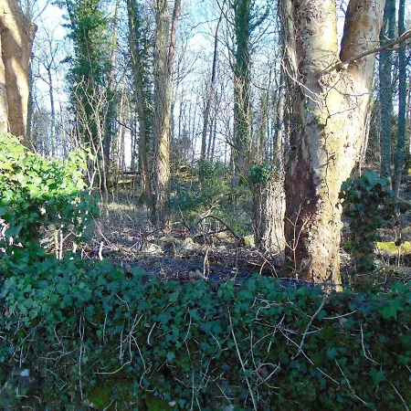 Dreamwood Cottage, Loch Lomond, Luxury Apartment. 格拉斯哥