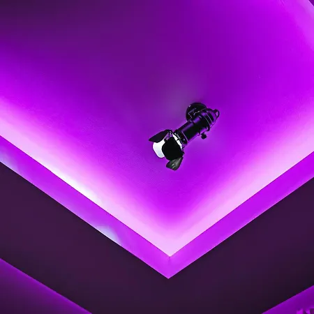 Appartement 3 Bed In The Heart Of Westend Of Glasgow