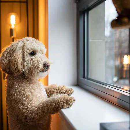 The Arran - Your Stylish Scottish Getaway! アパート グラスゴー