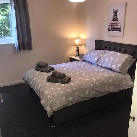 Apartment Vogue *