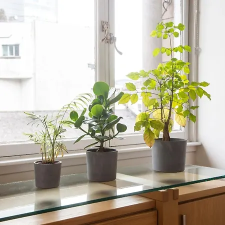 Apartment Guestready - Simple And Cozy Apartment In Glasgow Glasgow