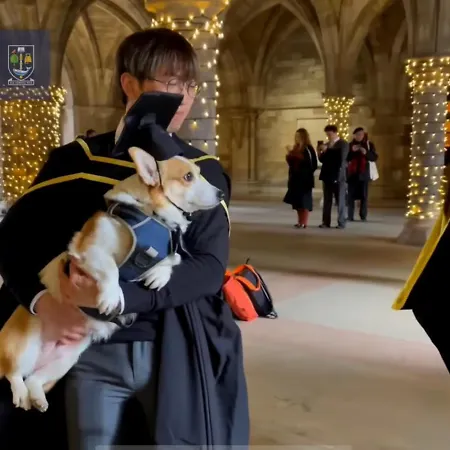 Villa Designer House - Of / 'hillhead' West End G12 - Luxurious & Contemporary Detached House / Terrace / Garden / 'electric Car Charging' Garage Parking *