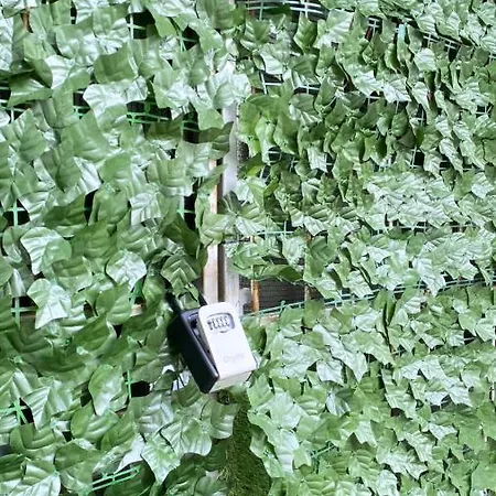 Two Bedroom Penthouse Glasgow