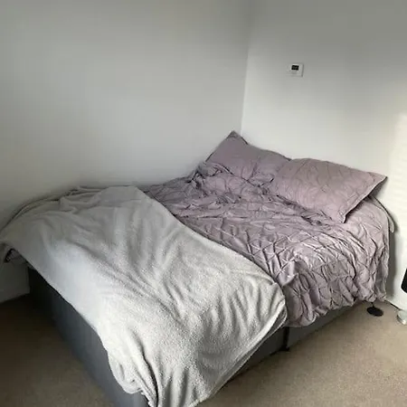 03 Flat Apartment *