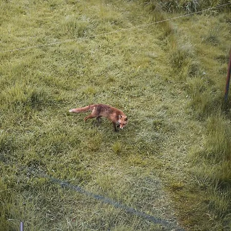 Lejlighed 4 Bedrooms Homely House - Sleeps 6 Comfortably With 6 Double Beds,glasgow, Free Street Parking, Business Travellers, Contractors, & Holiday-goers, Near Major Transport Links In & Centre, Perfect For Common Wealth Games 2026