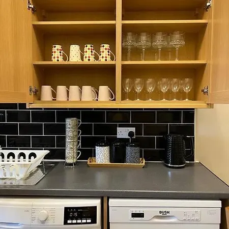 Luxury Victorian Spacious Flat * 格拉斯哥