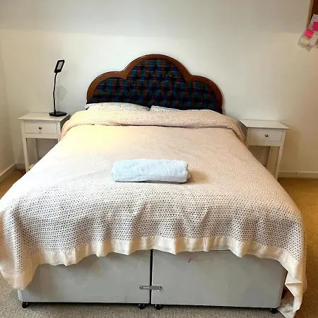 Spacious Queen Bed Centre Penthouse With Balcony - Homeshare - Live In Host Homestay *