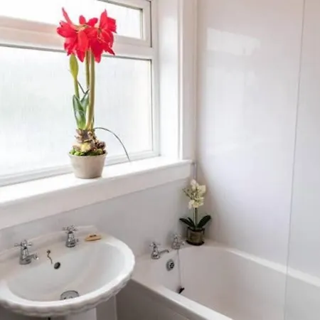 아파트 Cosy 1 Bed With Parking In City Centre 글라스고