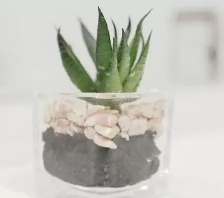 アパート 2 Bedroom In The Heart Of The Centre, Perfect Location グラスゴー