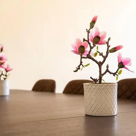 Appartement Stunning 5 Bedroom Apt, Close To Centre, Sec, Hydro And Motorway