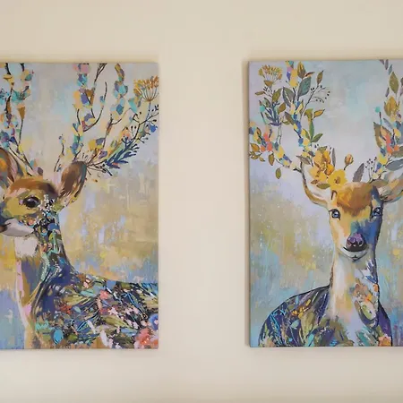 Appartement Stunning 5 Bedroom Apt, Close To Centre, Sec, Hydro And Motorway Glasgow