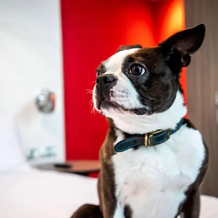 Hotel Ibis Styles