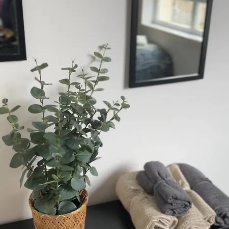 Modern Style , Separate Entrance アパート *