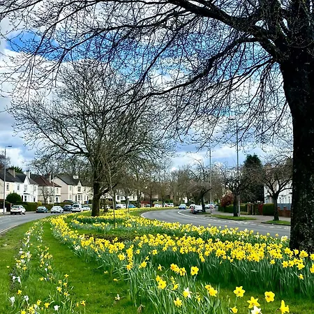 Modern Style , Separate Entrance * グラスゴー