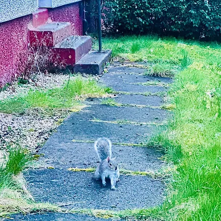 アパート Modern Style , Separate Entrance *