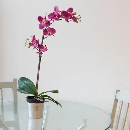 アパート Mitchell Street