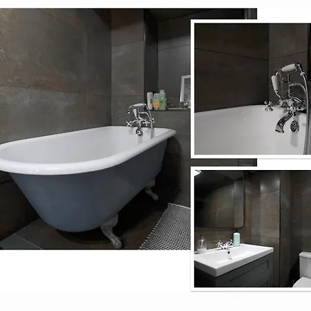 Luxurious Park District Duplex