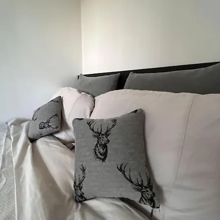 Апартаменты Modern 2 Bed Flat With Free Parking And Wifi