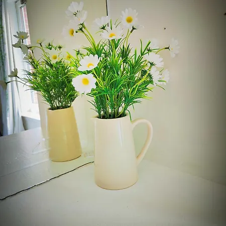 Appartement La Casita, Quarry - 2 Bedroom Entire With Free Parking