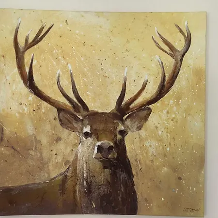 2 Bed West End Διαμέρισμα *