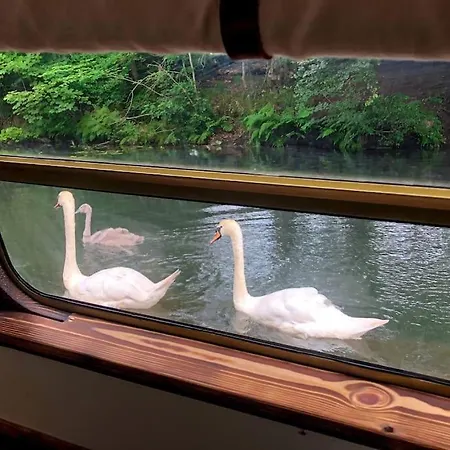 Snug 30ft Narrowboat With Indoor Fireplace *
