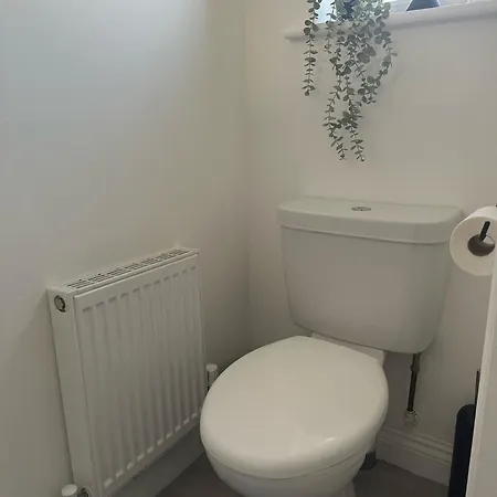 Apartman Black Daisy *
