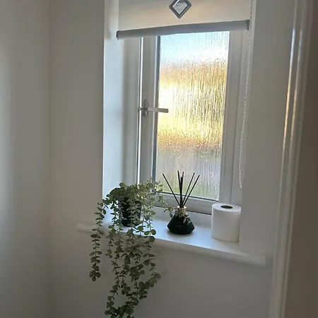 Black Daisy Apartment Glasgow