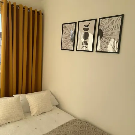 Black Daisy Apartment *