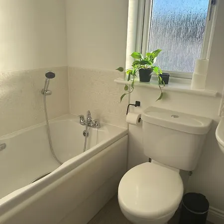 Apartmán Black Daisy *